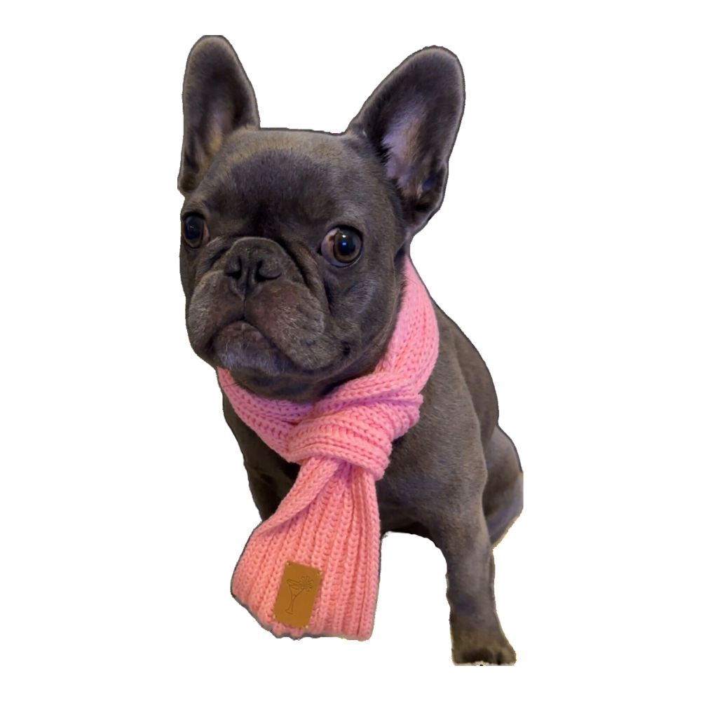 Cute dog scarf for SMALL DOGS