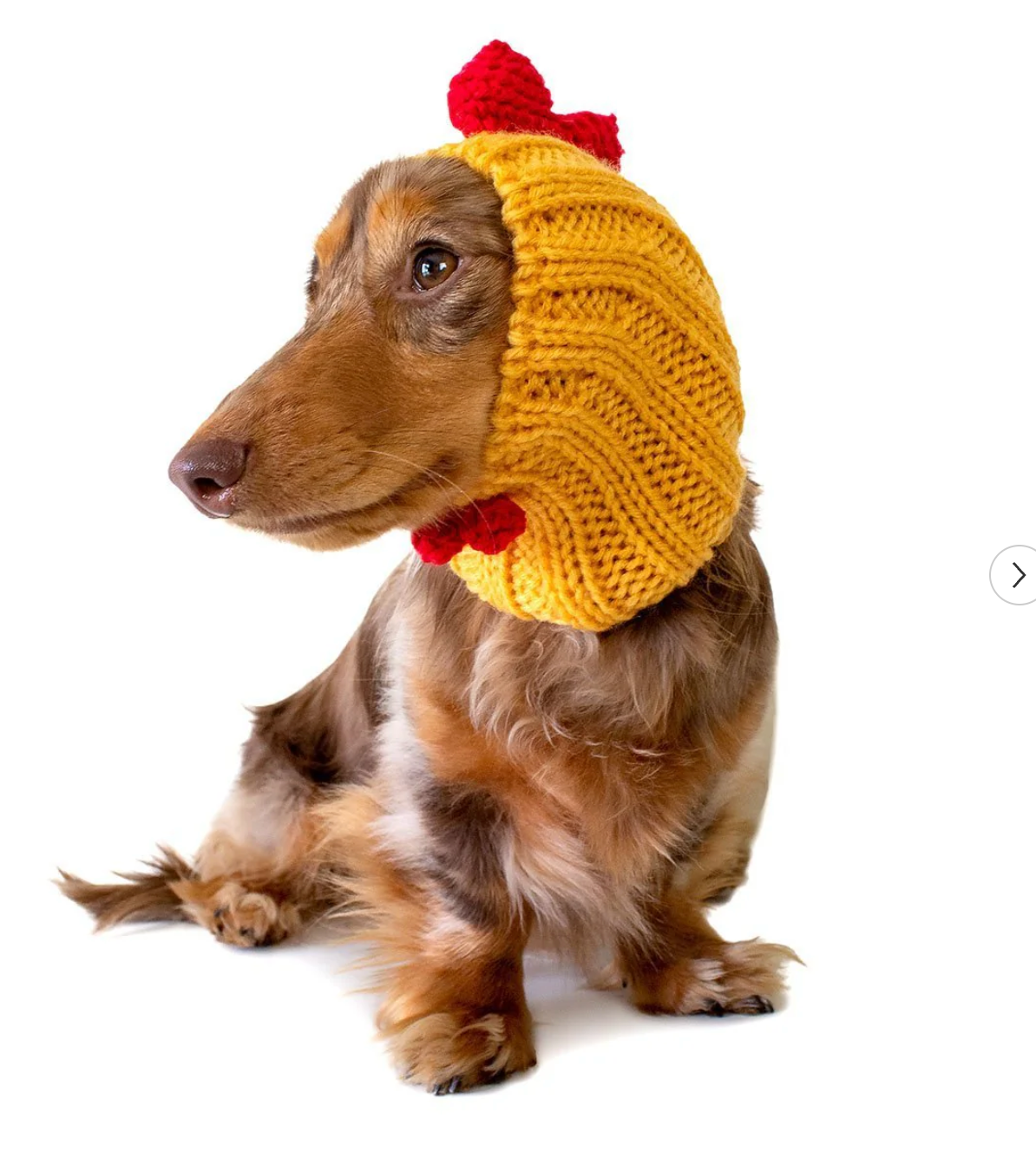 Rooster Costume for Dog | Funny Dog Snood