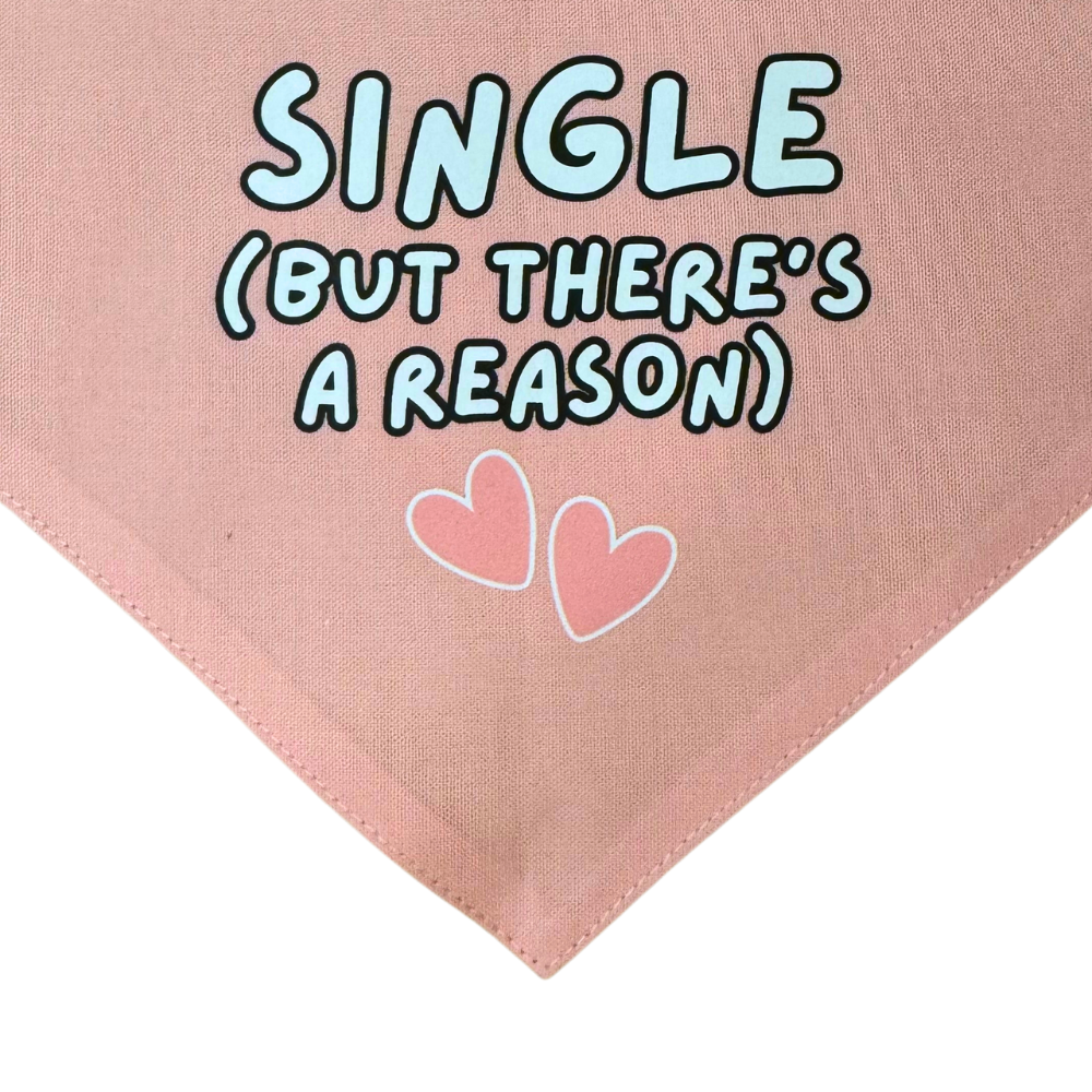 close up of funny pink Valentine dog bandana that says "Single but there's a reason" white and black font and two small hearts