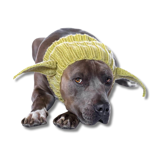 Alien Snood for Dogs | Easy Dog Costume