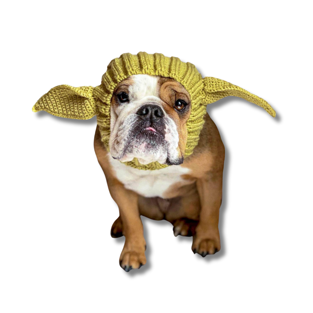 Alien Snood for Dogs | Easy Dog Costume