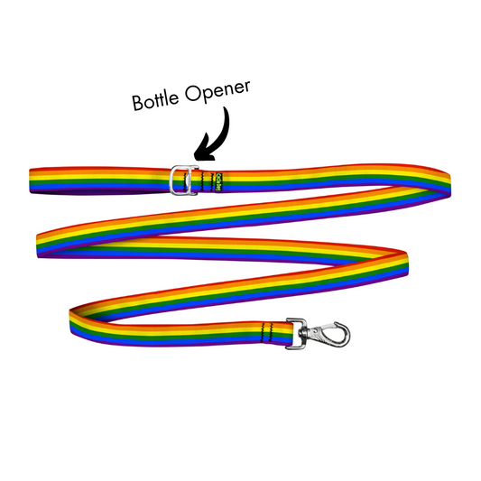 IMAGE OF RAINBOW PRIDE DOG LEASH FOR BIG DOGS