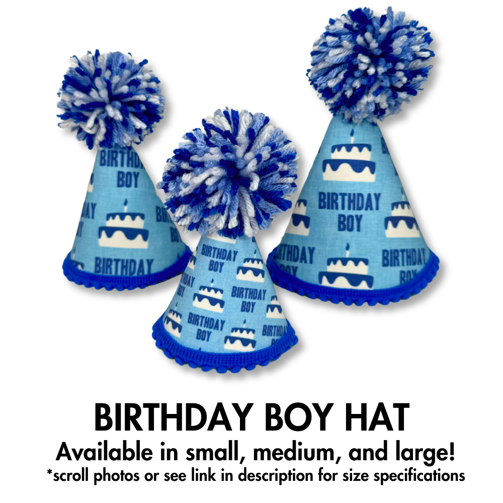 blue "birthday boy" birthday dog hat shown in three sizes for all dog breeds