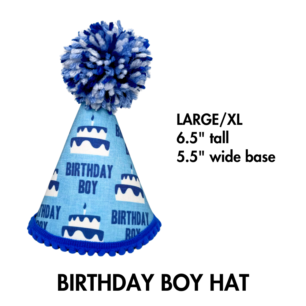 birthday dog hat for boy dogs shown in size large for the biggest dog breeds