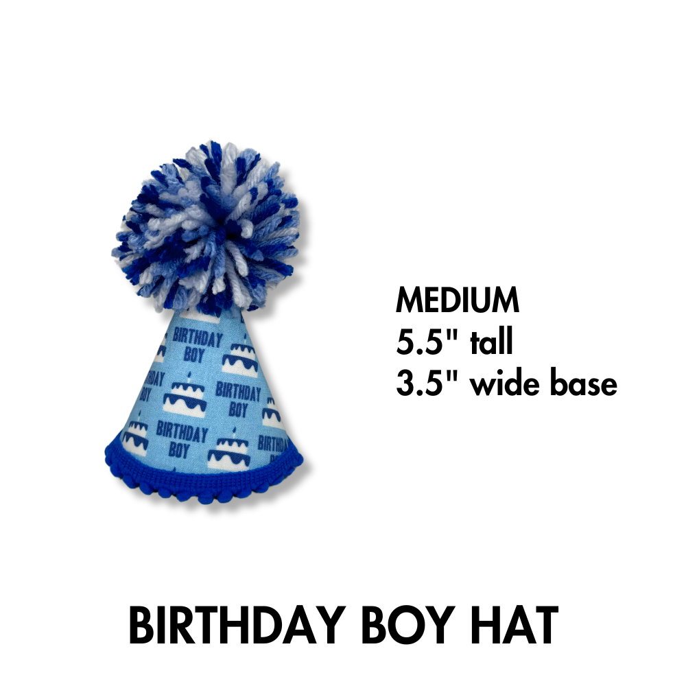 Birthday Dog Hat | Boy Dog Birthday Party