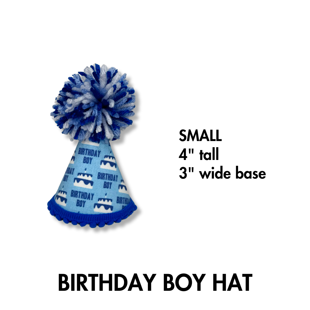 Small dimensions listed nest to blue birthday boy dog party hat