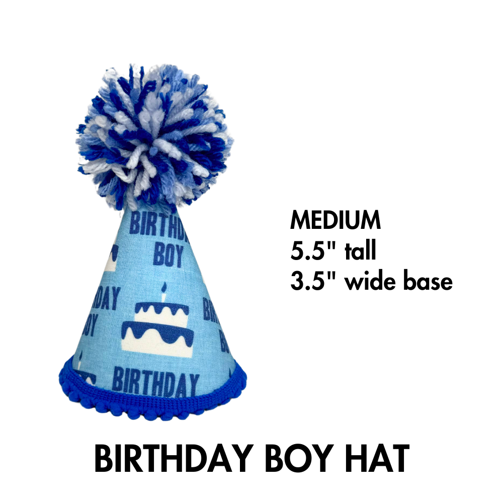 birthday dog hat for boy dogs shown in size medium