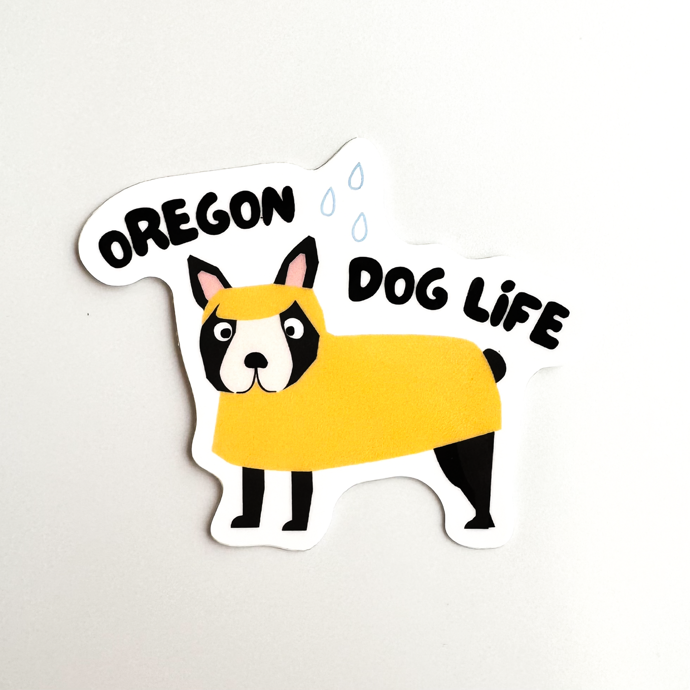 Boston Terrier Dog wearing a yellow rain jacket "Oregon Dog Life" sticker