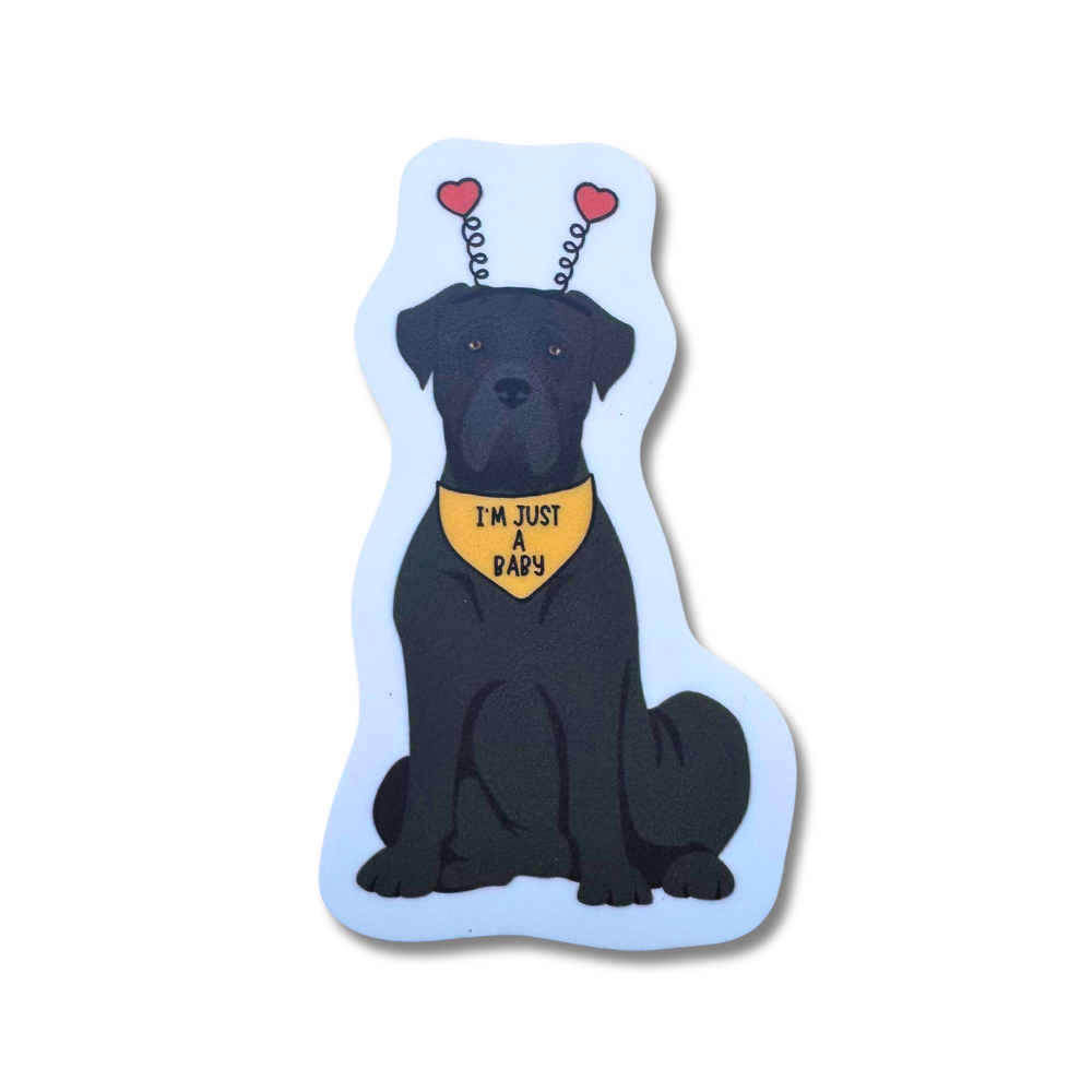 Large black cane corso dog sticker. Dog is sitting and wearing an orange bandana that says "I'm just a baby." The cute cane corso is wearing heart deely bobber headband.