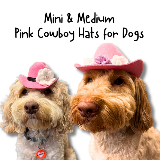 Two fluffy doodle dogs modelling pink dog cowboy hats in two different sizes. The smaller hat has one white wool felt flower. The larger hat has 3 felt flowers.