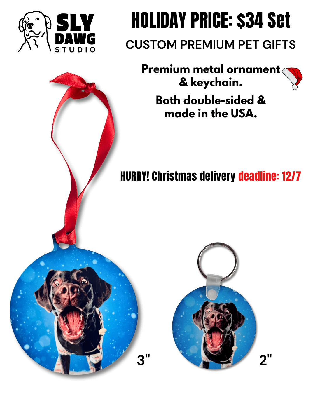  custom pet photo ornament and photo keychain (blue circle with brown dog and red ribbon)