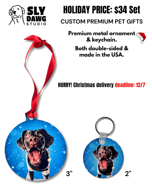  custom pet photo ornament and photo keychain (blue circle with brown dog and red ribbon)