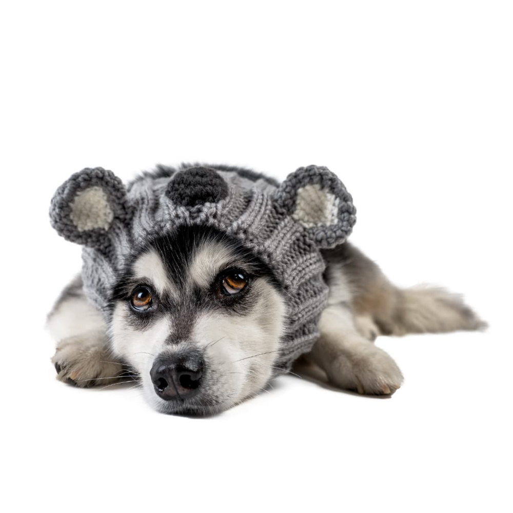 Cute Koala Dog Snood