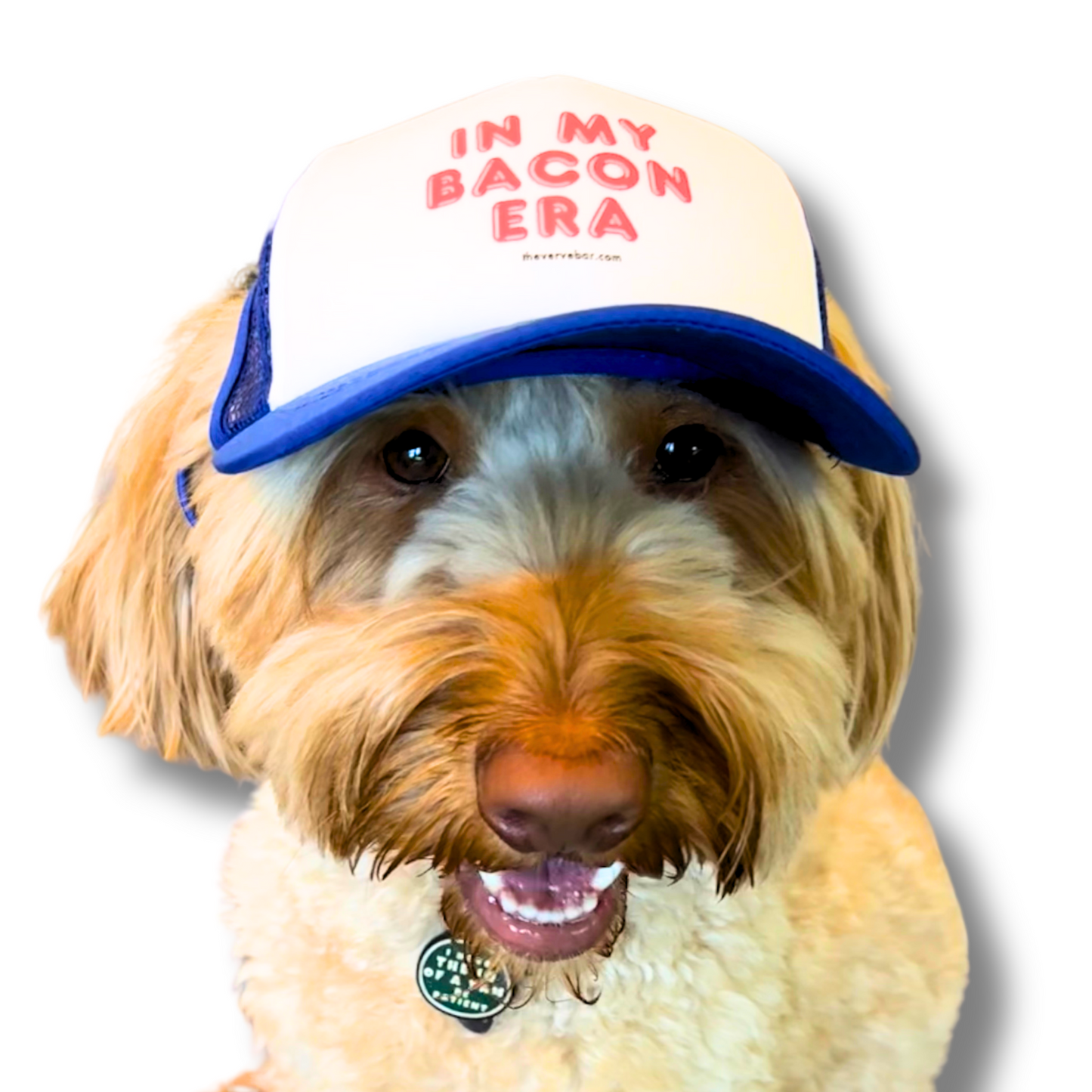 Bacon Lover Dogs Hat | Trucker Style Stays On