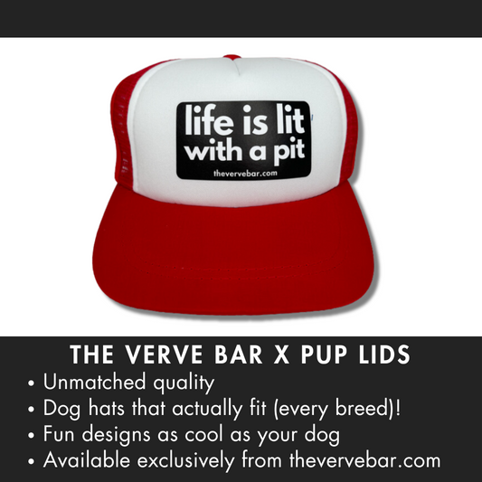 The cutest hat for pitbulls! This red trucker hat for pits is cute, funny, and comfortable!  