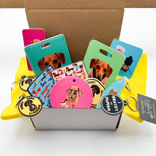 Wiener dog gift box filled with dachshund dog tags, dachshund luggage tag, dachshund bag tag, sausage dog magents, dachshund stickers, and dog tag of choice.