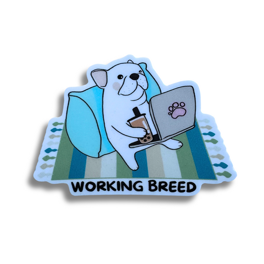 funny French bulldog sticker - white Frenchie sitting on blue and green rug with back agains a blue pillow. Dog is holding a bubble tea and a laptop