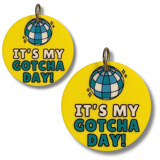 Round yellow acrylic dog collar charms with blue and green disco ball and bold words "IT'S MY GOTCHA DAY" in white and teal. 