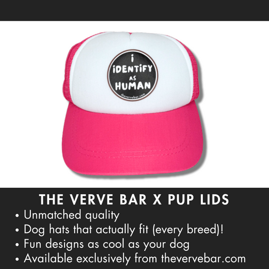 Pup Lids dog baseball caps with funny "I Identify as Human" design on pink Trucker Dog Hat by The Verve Bar. 