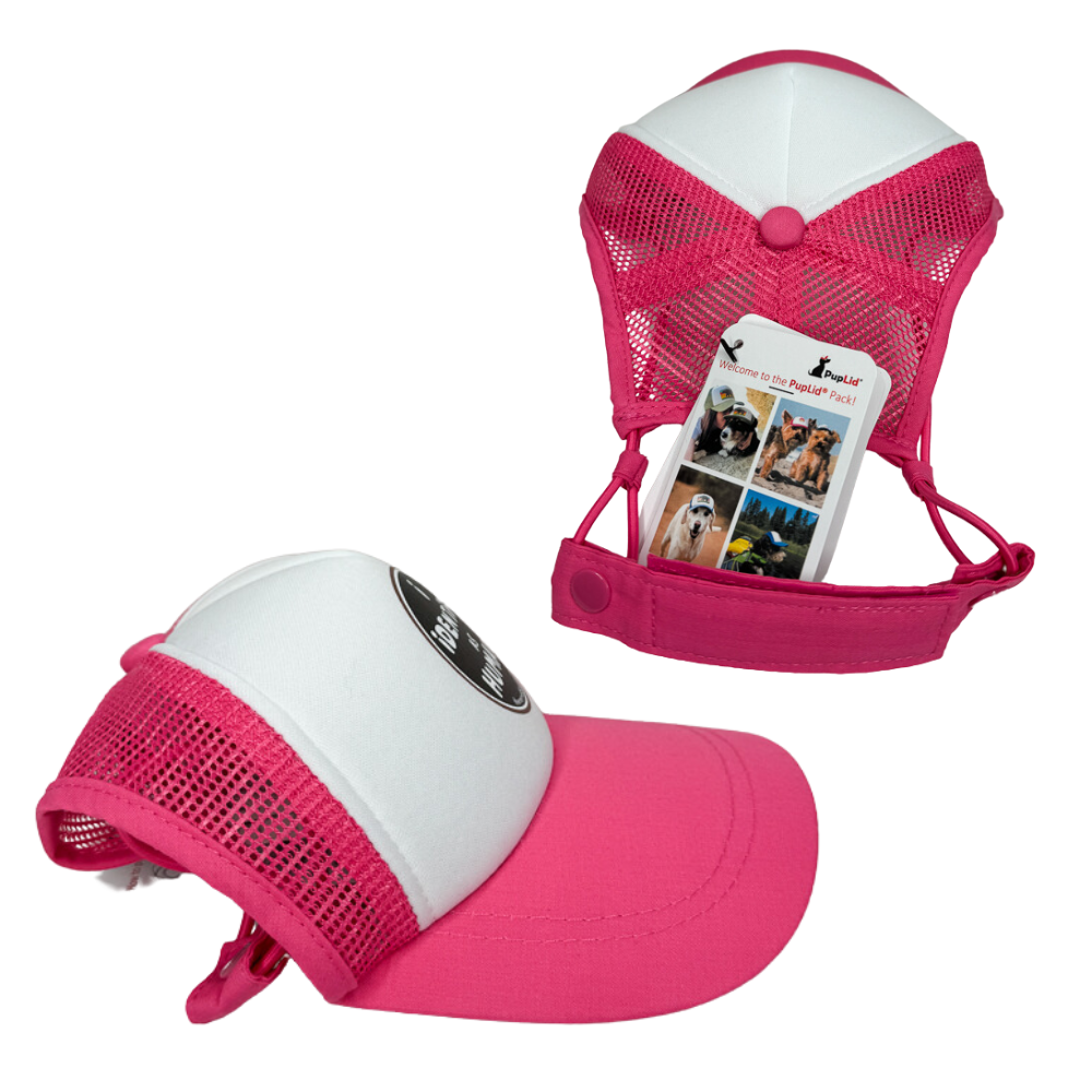 Side view and back view of pink dog baseball cap.