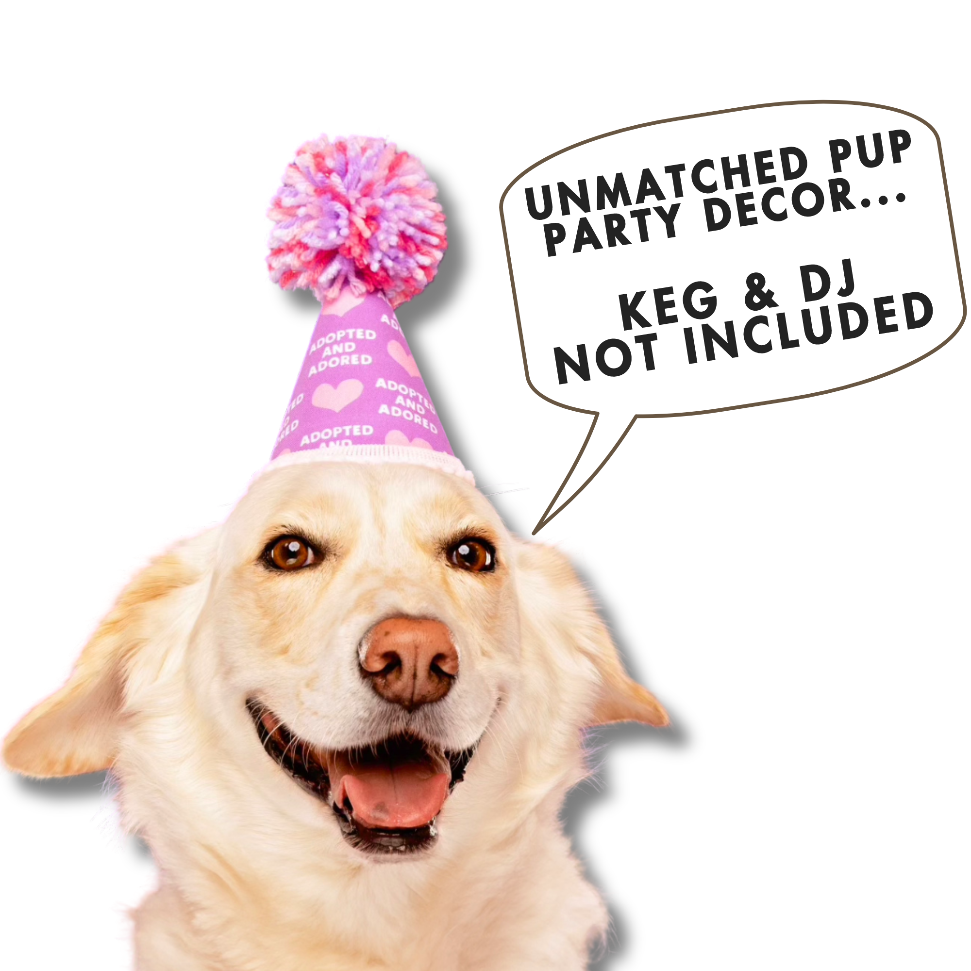 GOTCHA DAY AND BIRTHDAY HAT FOR DOGS - LAVENDER DOG PARTY HAT WITH LARGE POM BEING MODELED BY YELLOW RESCUE DOG