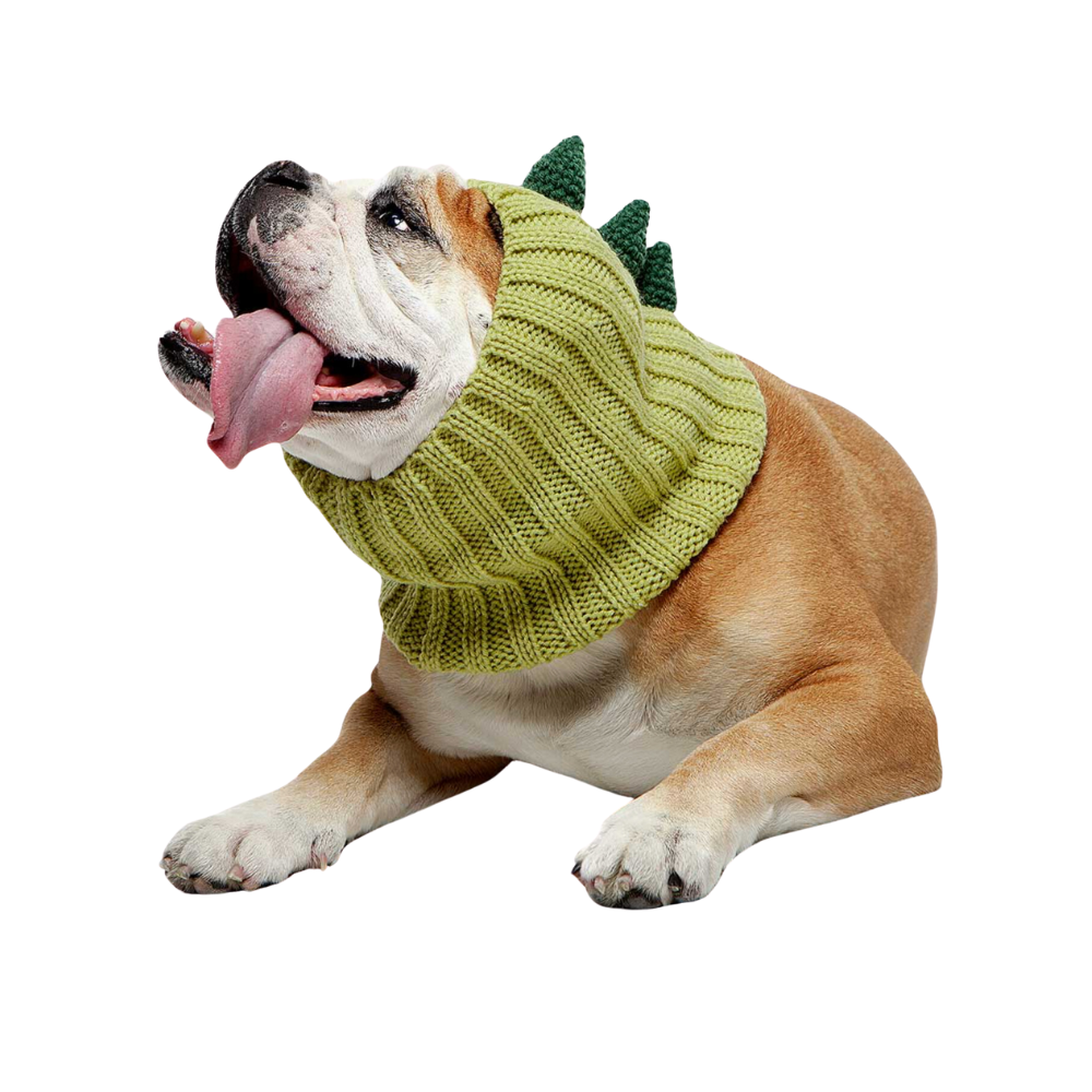 Dinosaur Snood for Dog | Fun Pup Hat for All Size Dogs