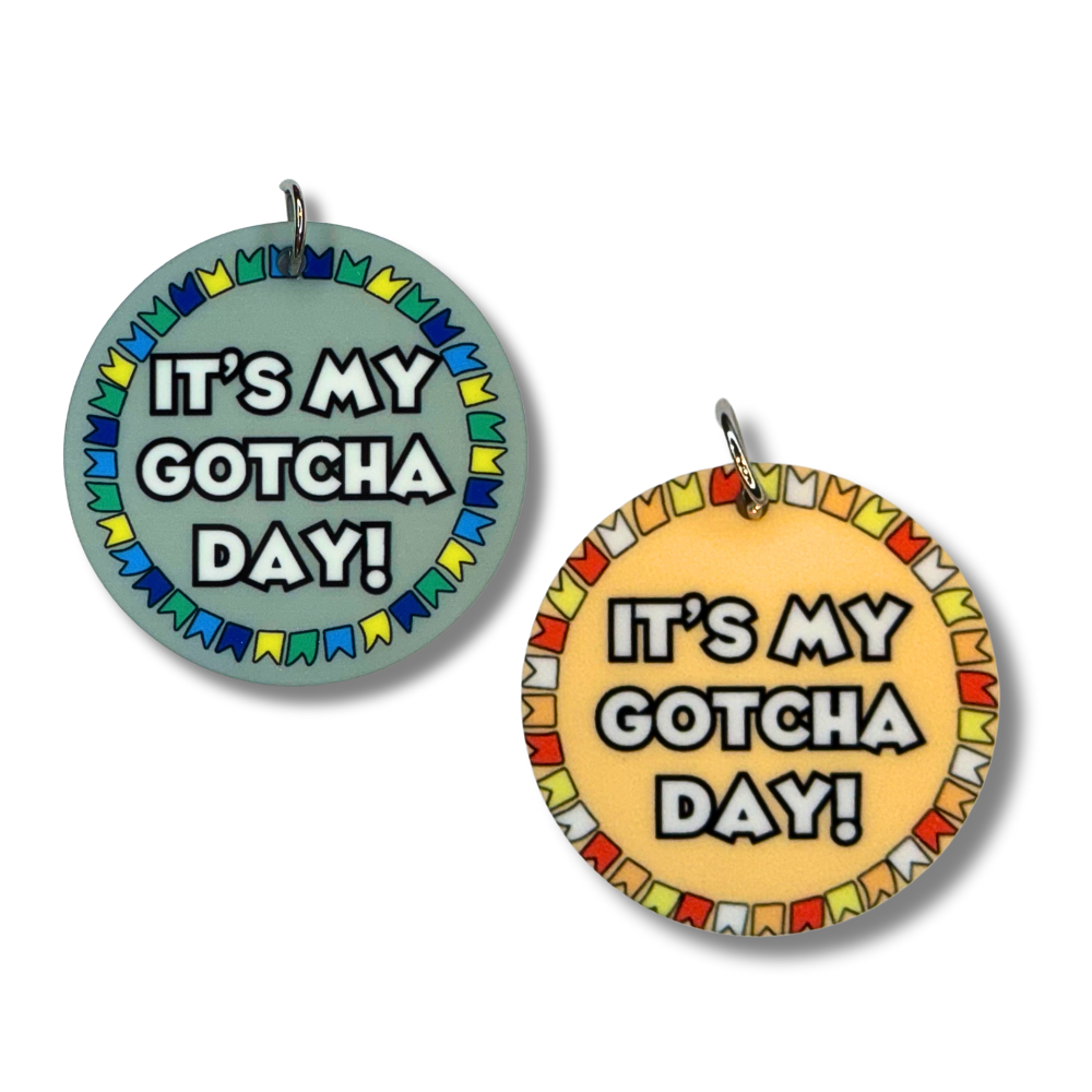 gray-green and yellow-orange dog collar charms that say IT'S MY GOTCHA DAY. Each has a colorful circle flag border.