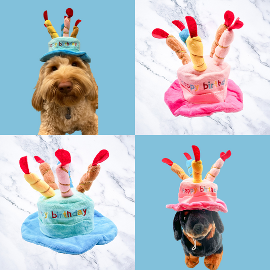 Birthday Cake Dog Hat | Fits Small & Medium Dogs