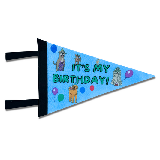 Dog Birthday Felt Pennant Banner