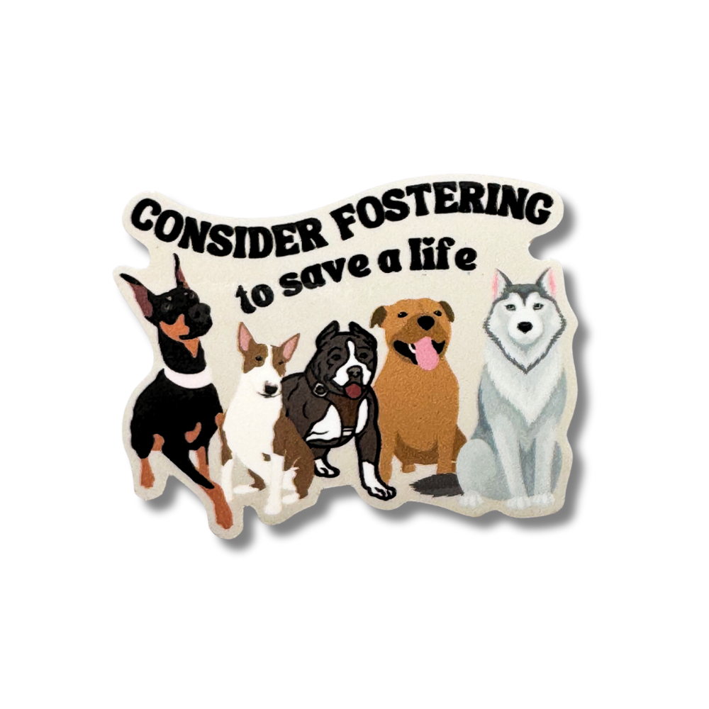 Consider fostering a dog to save a life! Cartoon dog breeds that are often seen in shelters.