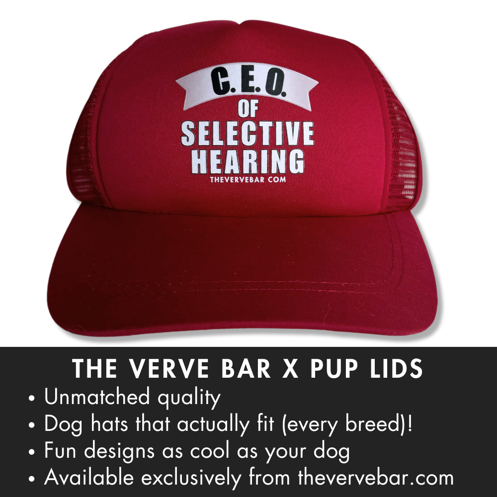 Baseball Cap for Dogs | C.E.O. of Selective Hearing