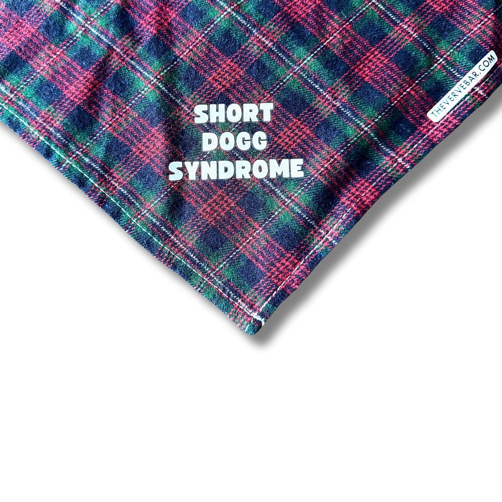 Close up of text on red, dark green, and navy plaid dog bandana /  text: short dogg syndrome"