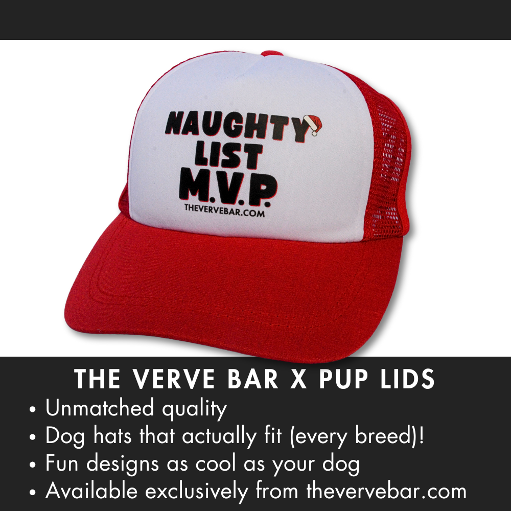 Red and white trucker Christmas hat for dogs. Black design: Naughty List MVP (with Santa hat hanging on the Y). Under the hat are 4 bullet points explaining the features.