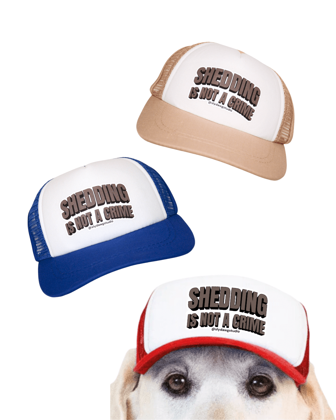 3 dog trucker hat with saying  "Shedding is not a Crime" lettering on white foam front. Shown in blue and pink above and red hat on a dog below.