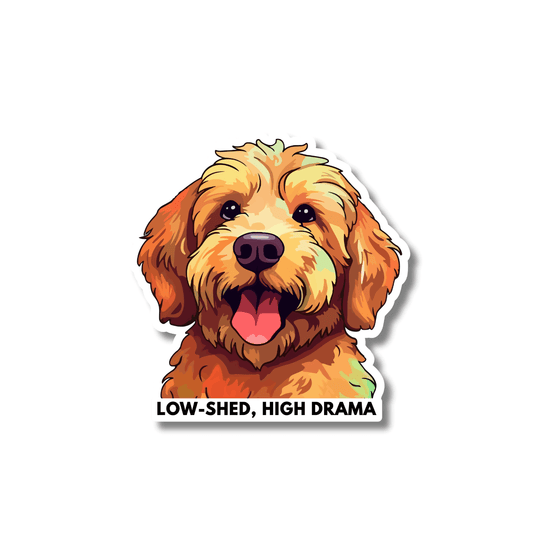 Cartoon-style Goldendoodle dog with text ‘Low-Shed, High Drama’ on sticker