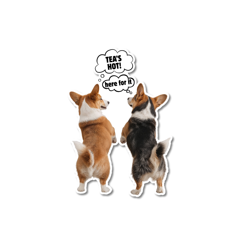 Funny office dog stickers: Two corgis seen from the back with speech bubbles saying "The Tea is Hot!" and "Here for it!", matte vinyl finish on a laptop.