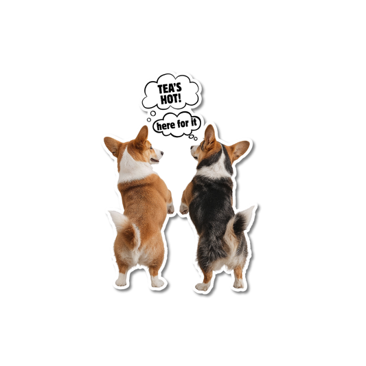Funny office dog stickers: Two corgis seen from the back with speech bubbles saying "The Tea is Hot!" and "Here for it!", matte vinyl finish on a laptop.