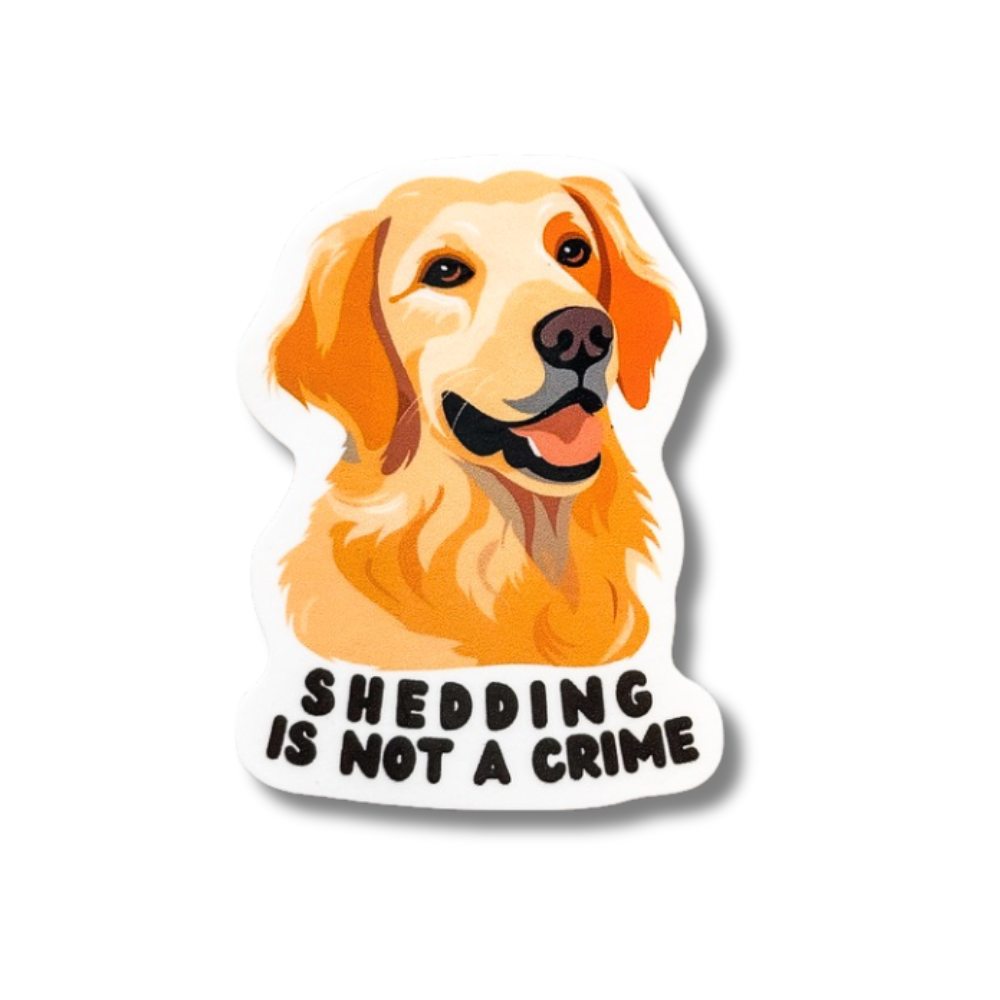 sticker :golden retriever dog "shedding is not a crime"