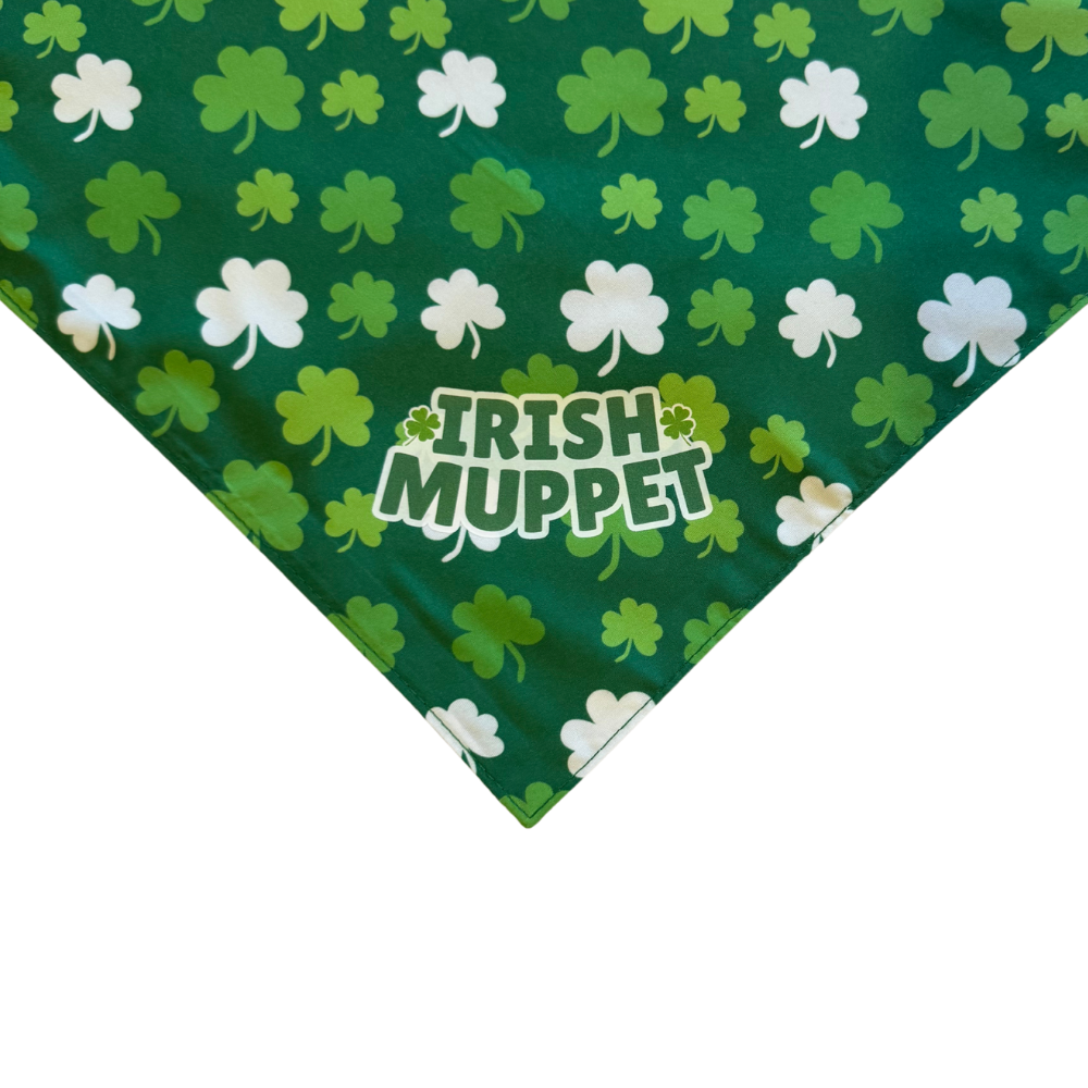 Green Clover St. Patrick's Day Dog Bandanas | 3 Sizes