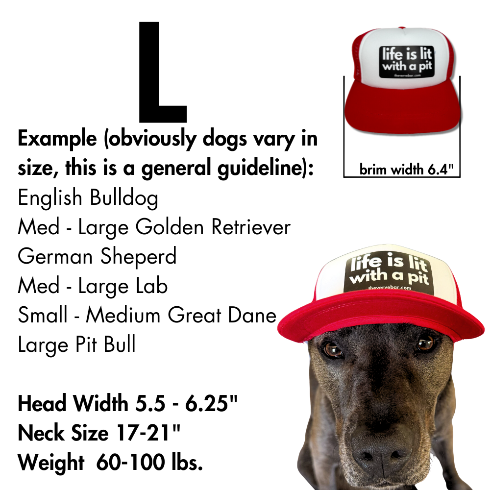Hats for pitbulls clearance