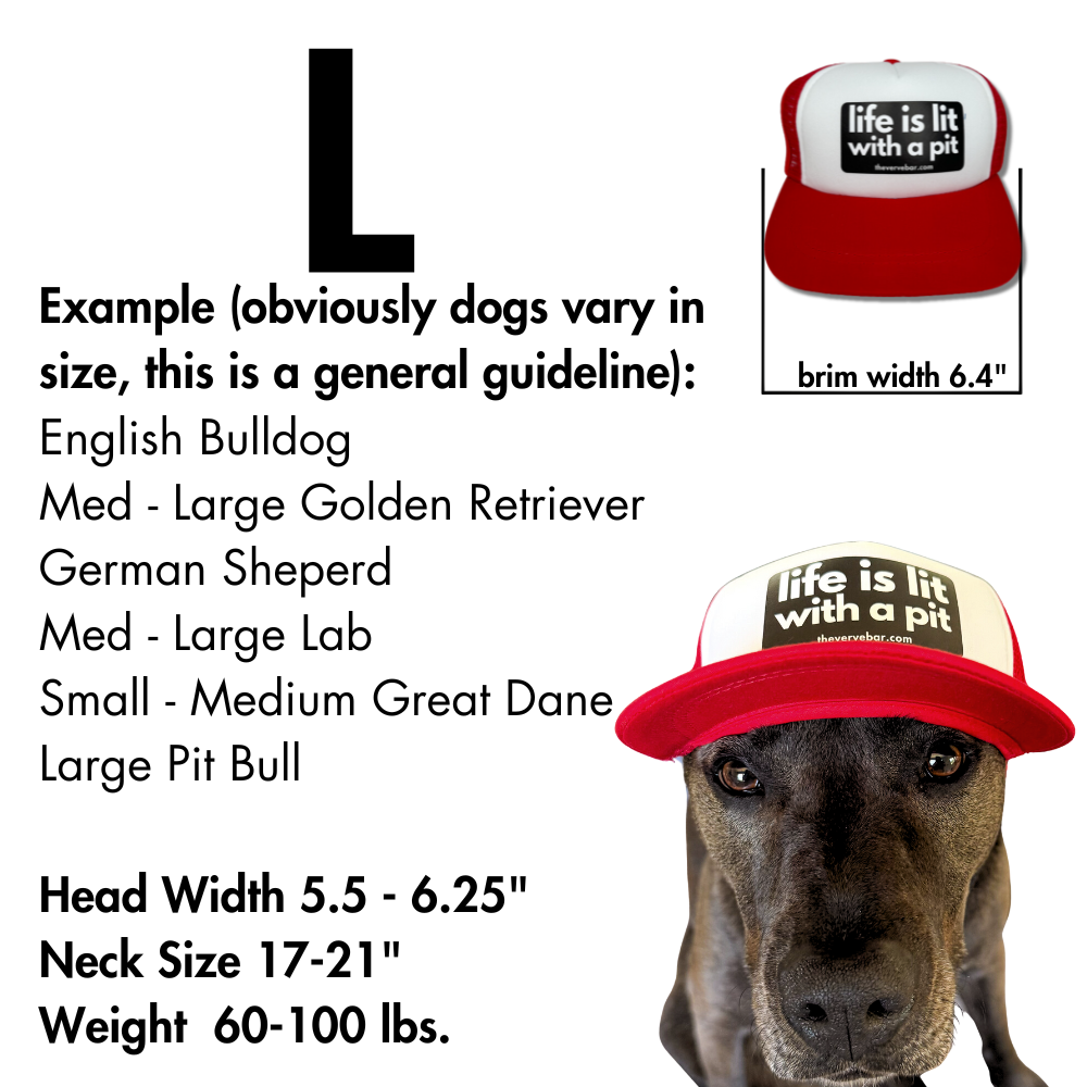 Hats for pitbulls best sale