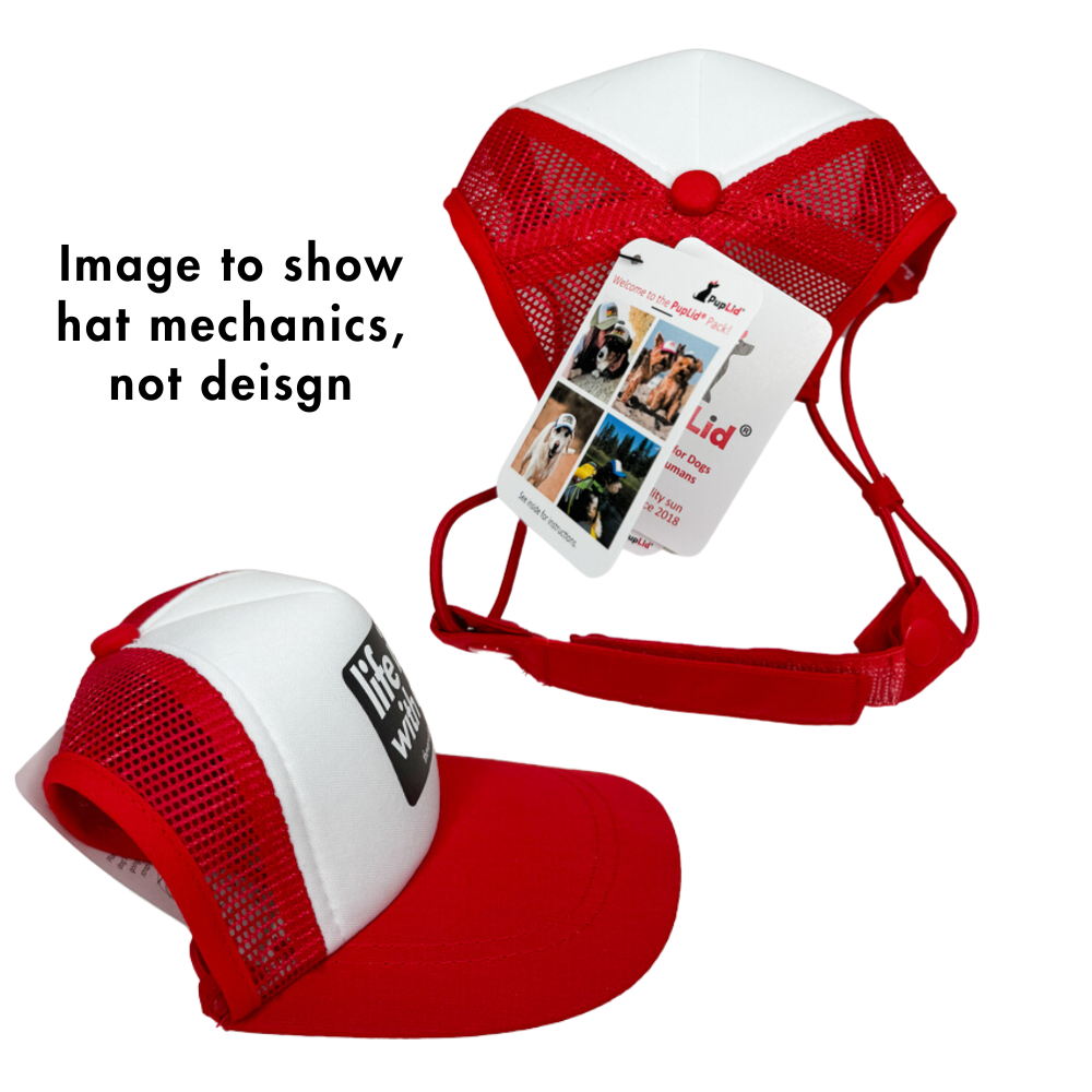 Pup Lid Dog Hat | In my Bacon Era (red on red)