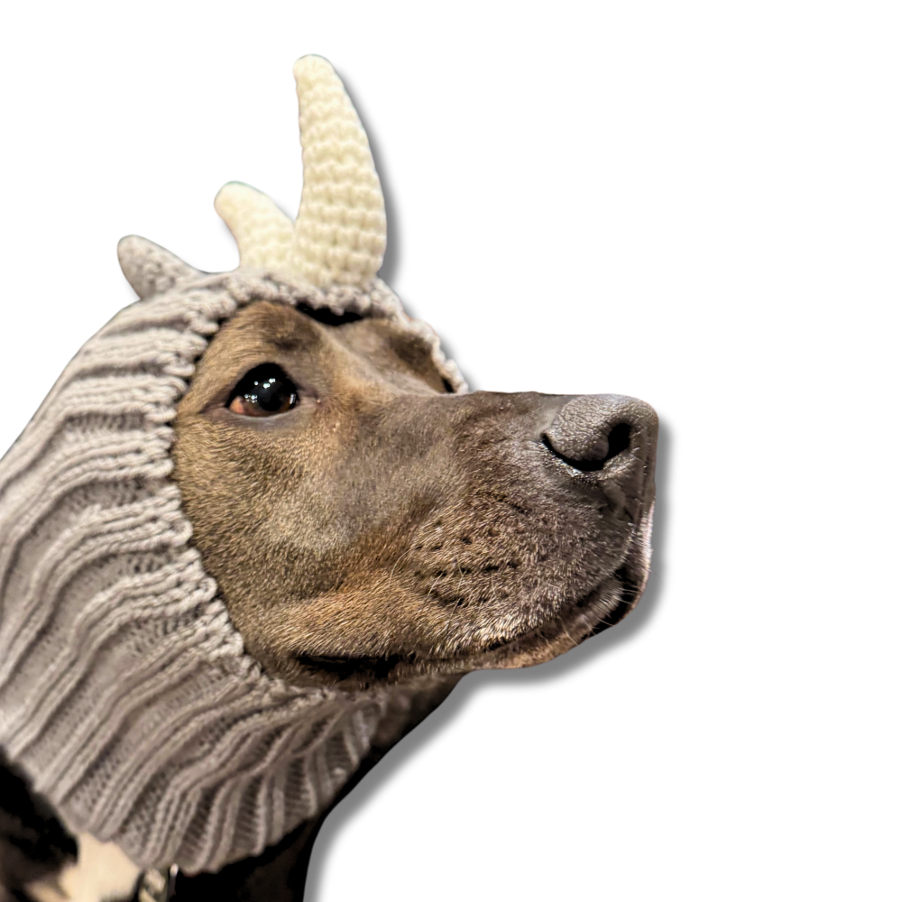 Rhino Dog Snood | Fun Hat for All Size Dog Breeds