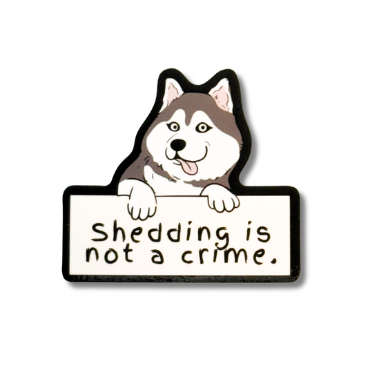 Siberian Husky sticker - cartoon dog holding sign "shedding is not a crime"