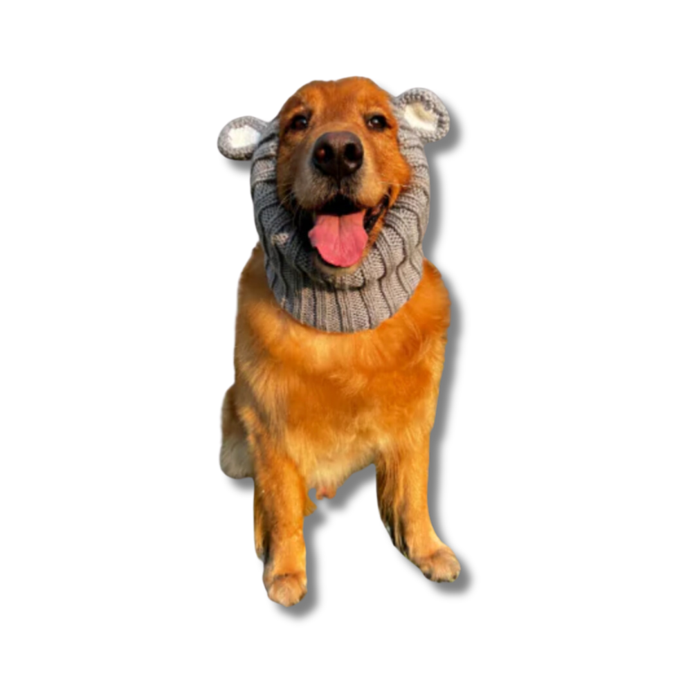 Cute Koala Dog Snood