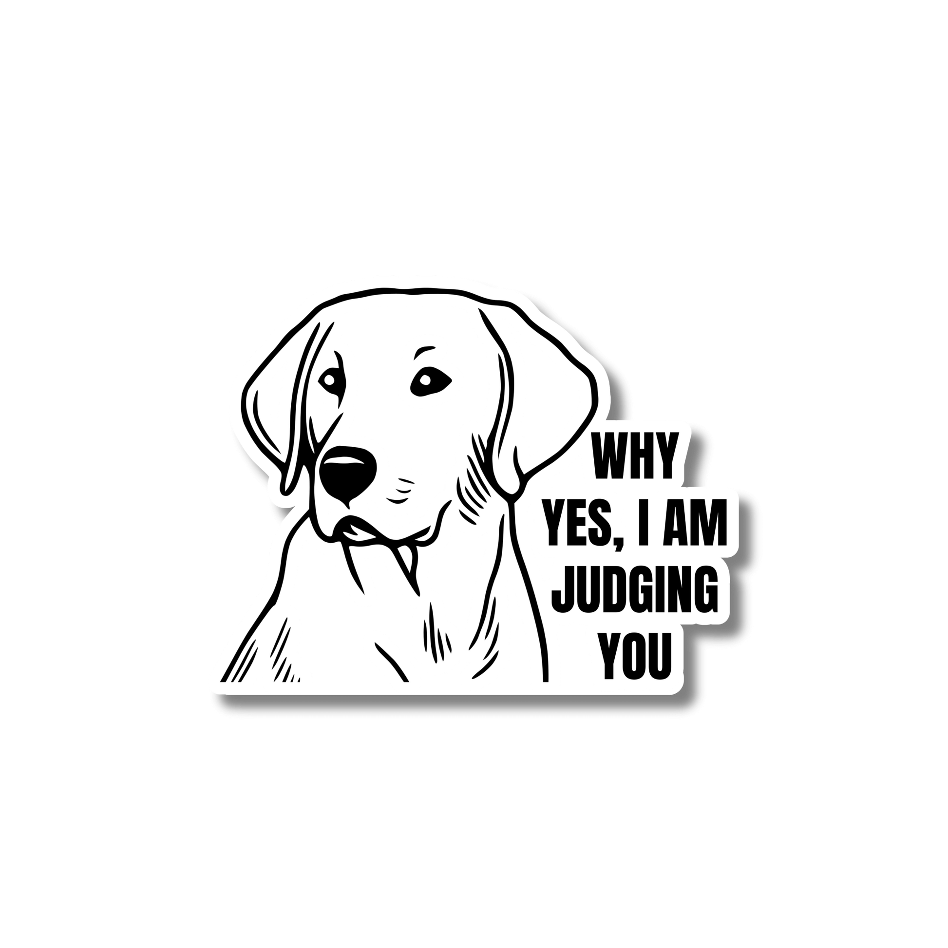 white sarcastic labrador dog sticker; black line art of dog. text: why yes, I am judging you