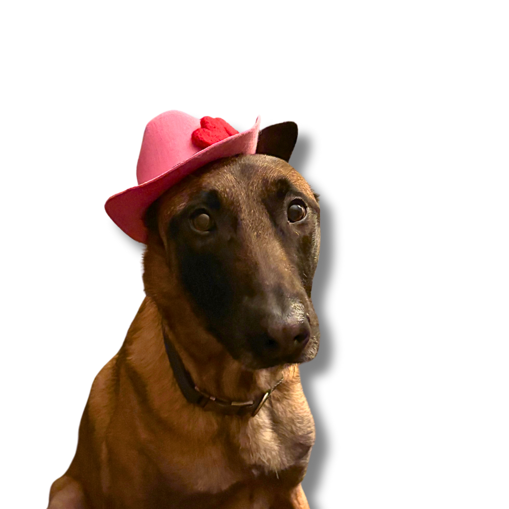 Valentine Dog Cowboy Hat | Pink with Flowers