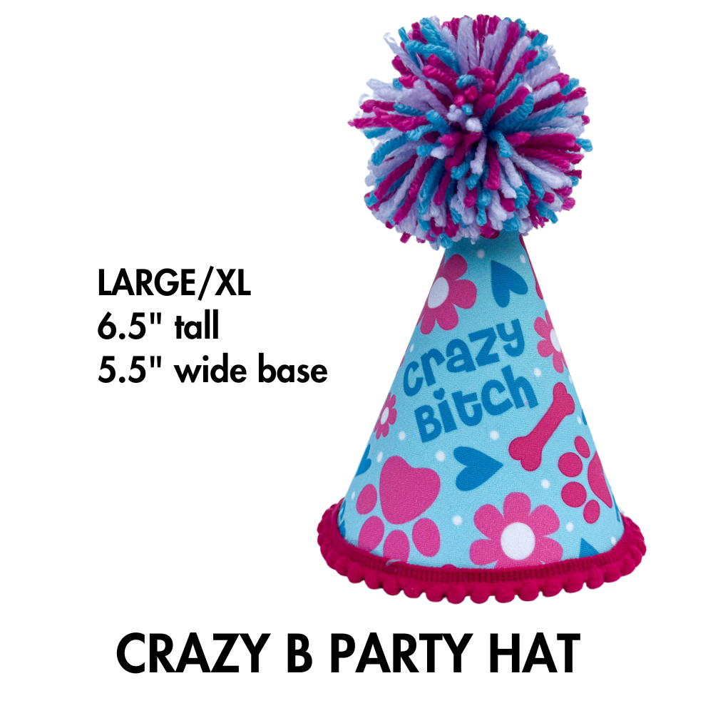 funny party hat for dog shown in large for largest size dog breeds. it's two shades of blue plus pink. It has a large pom and a cute fabric ribbon trim.