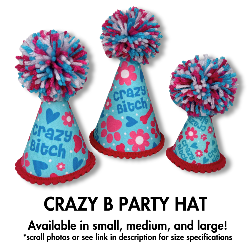 hilarious crazy bitch party hat for dogs. Light blue, medium blue, and pink fabric wrapped hat with giant pom on top. Shown in small, medium, and large for all breed sizes.