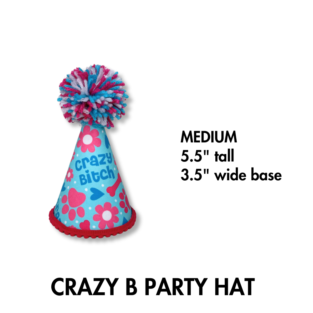 crazy bitch party hat for dog that is blue and pink with big pom on top in size medium